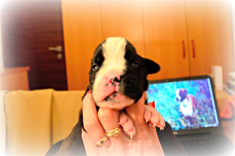 Freya, 11 days